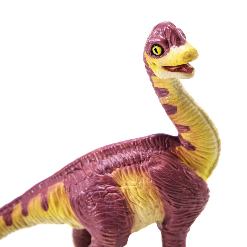 Brachiosaurus Baby Figure-4